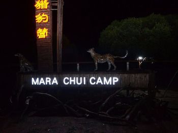 Готель Mara Chui Camp Ololaimutiek Екстер'єр фото